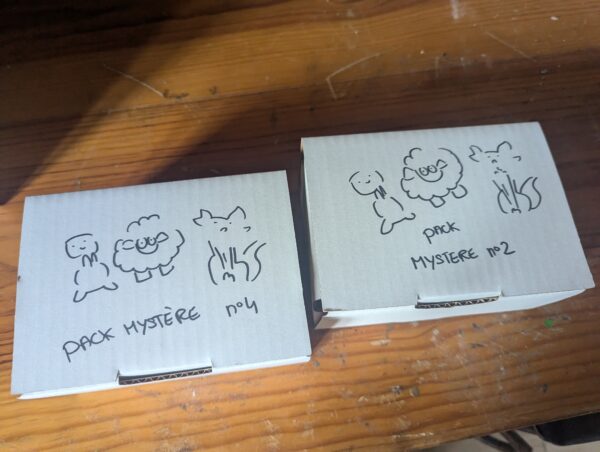 5 pièces avec des défaults- BLIND BOX – Image 2