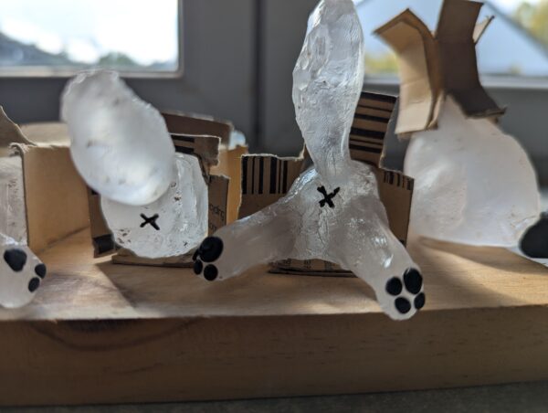 Chat n°2 – Image 3