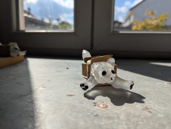 Chat n°3