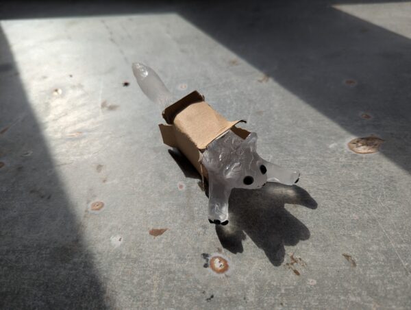 Chat n°3 – Image 4