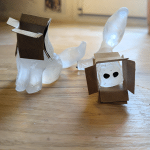 Chat à carton